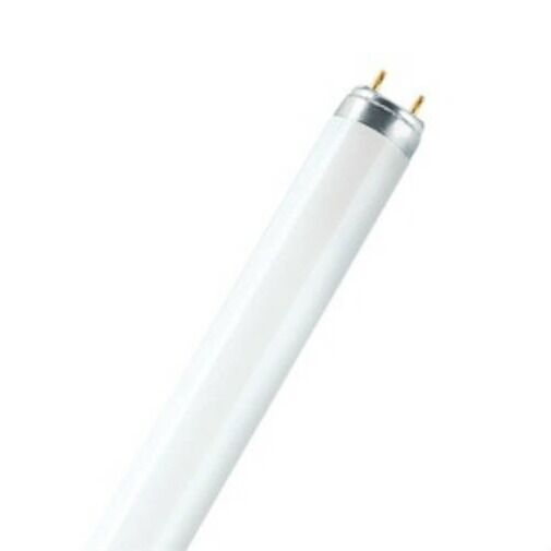 OSRAM  15W/865 15 WATT G13 DUY T8 FLORESAN AMPÜLÜ