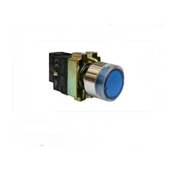 LAY5-BW3661 IŞIKLI METAL YAYLI BUTON